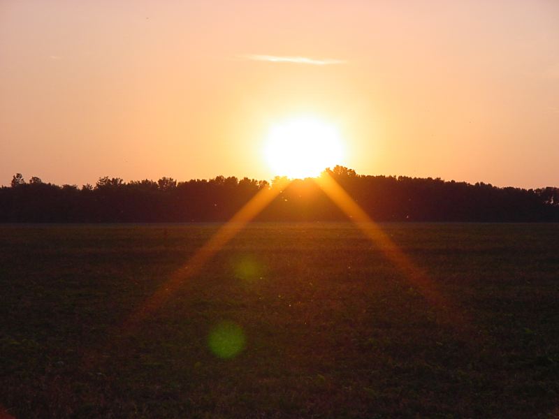DSC00491