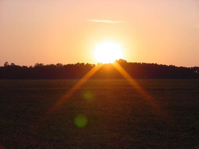 DSC00491