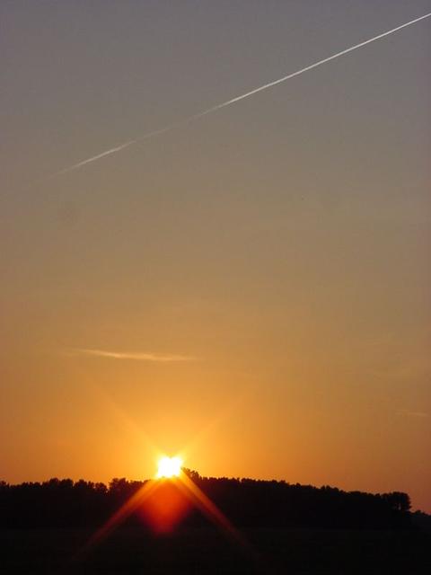 DSC00494