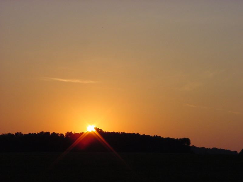 DSC00495