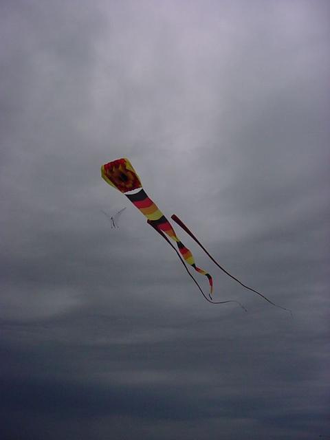 DSC00061