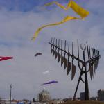 DSC09800