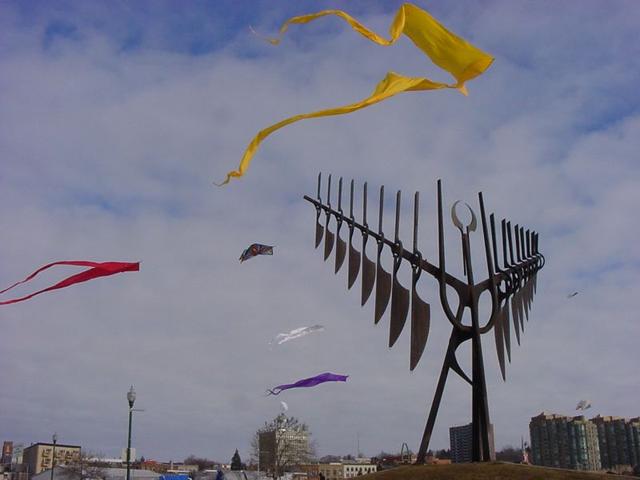 DSC09800