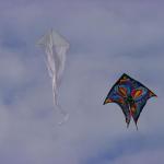 DSC09805