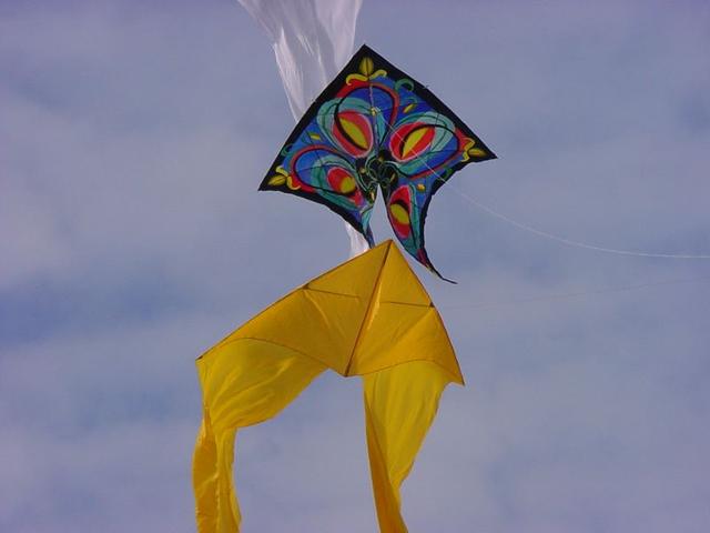 DSC09807