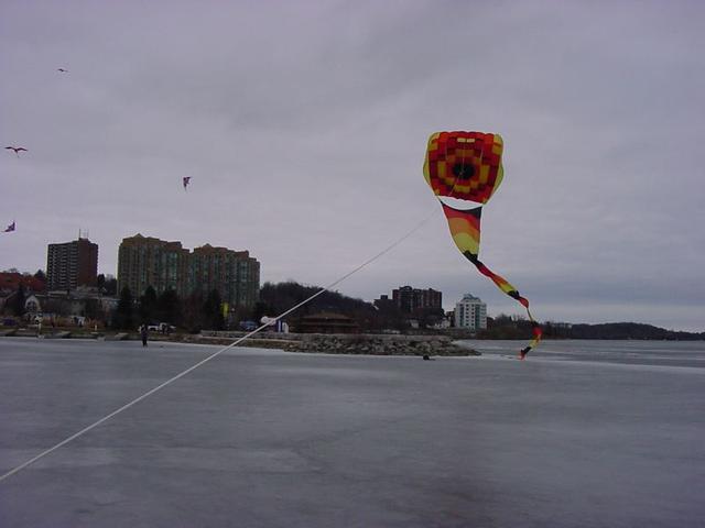 DSC09826