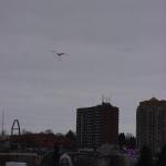 DSC09829