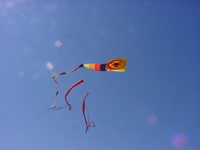 DSC08703