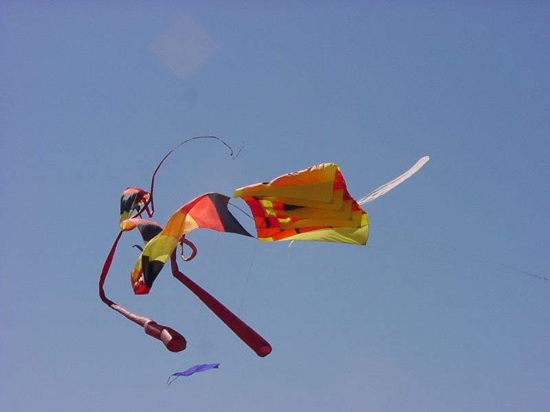 DSC08709