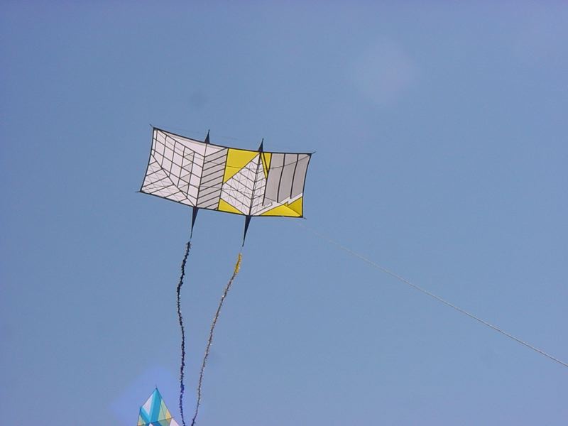 DSC08729