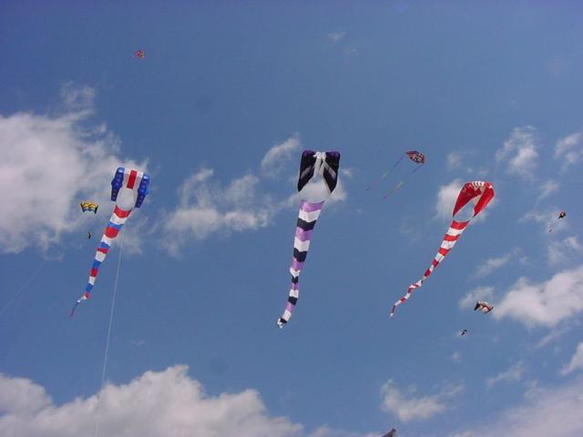 DSC06326