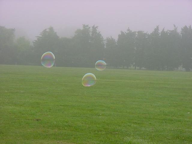 DSC05513