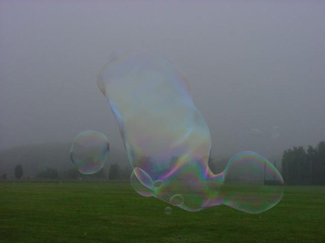 DSC05524