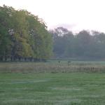 Liberty Balloon - Auburn to Skaneateles 9/16/12