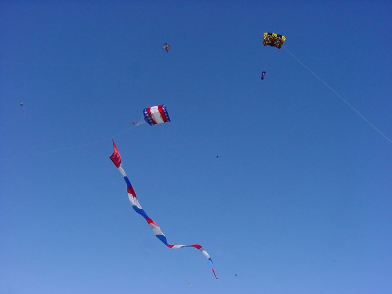 DSC04536