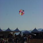 Antelope Island Stampede 2010