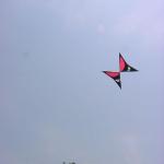 DSC03768