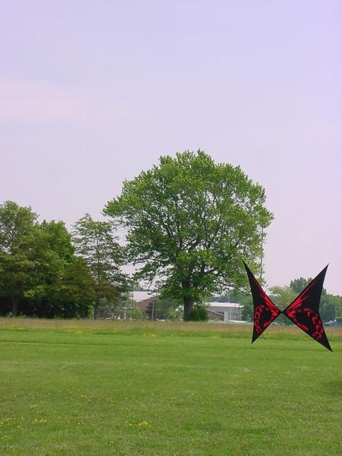 DSC03775
