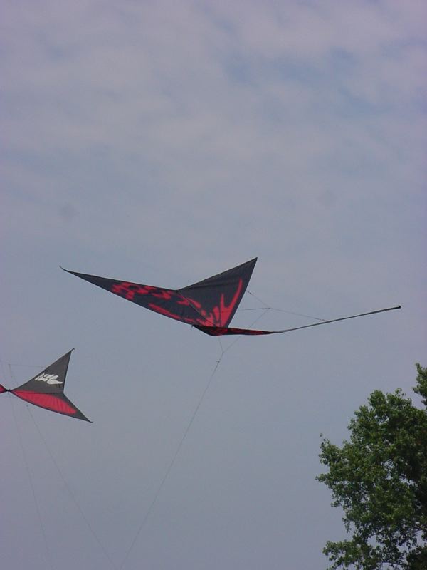 DSC03784