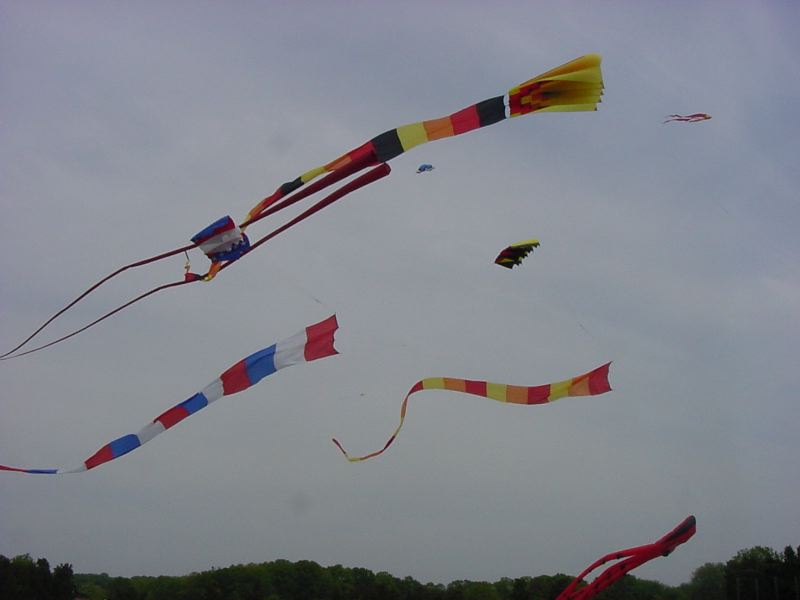 DSC03638