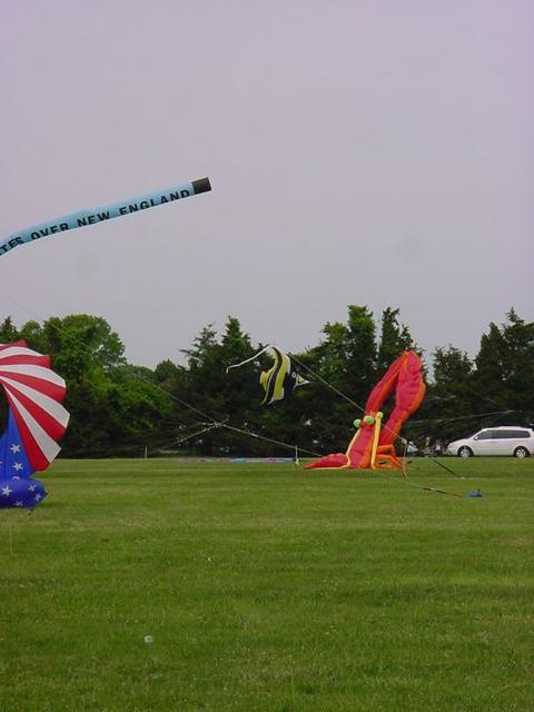 DSC03686