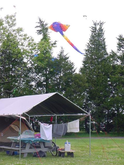 DSC03698