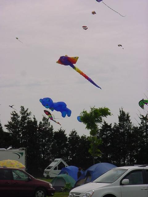 DSC03704