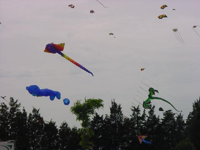 DSC03705