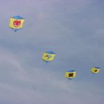 GLKS Paint the Sky - May 2010  Album