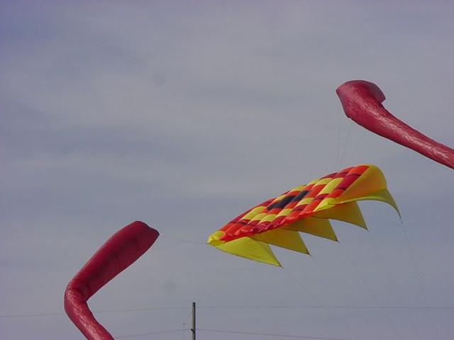 DSC03416