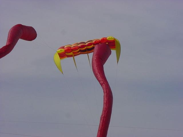 DSC03422
