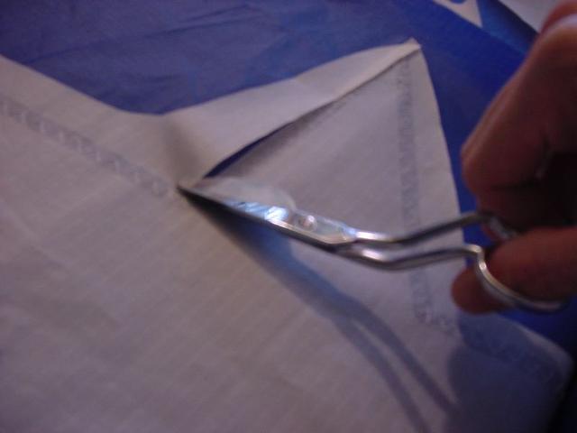 DSC02784.JPG