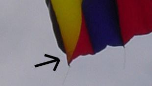 DSC02794crop