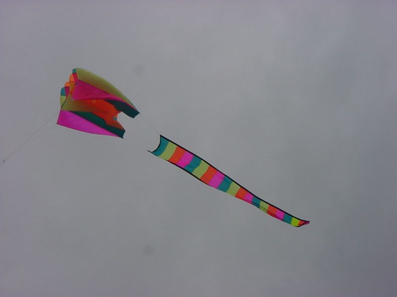 DSC03053