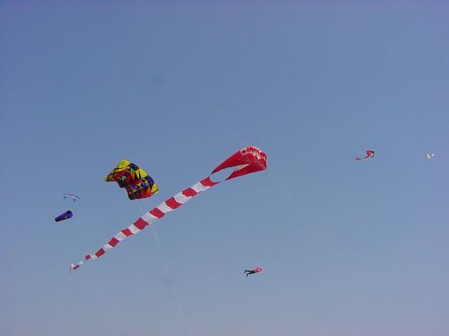 DSC02999