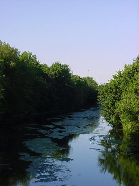 DSC00707