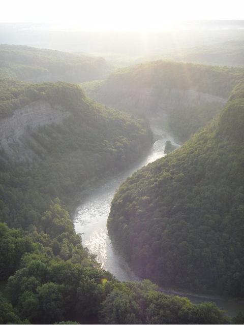 DSC03971