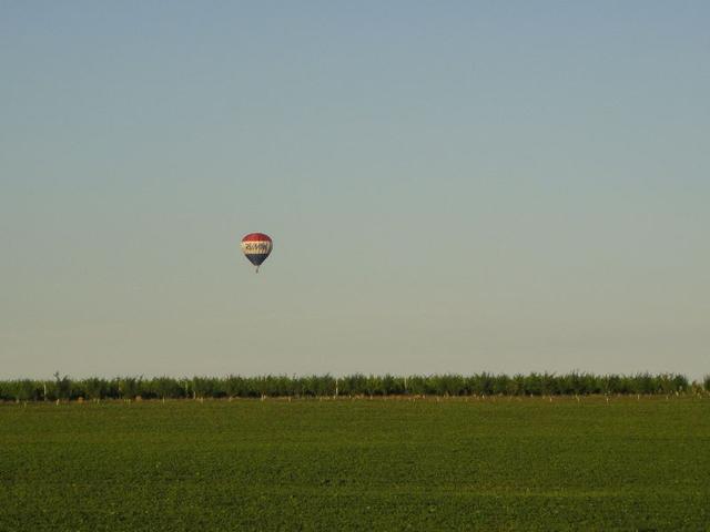 DSC03878