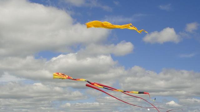 DSC03367