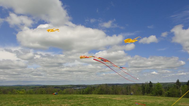 DSC03368