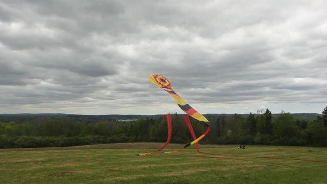 DSC03375