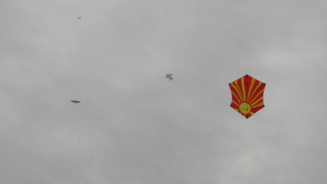 DSC02021