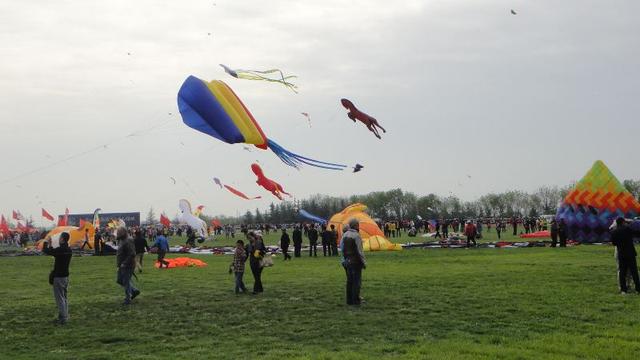 DSC02033