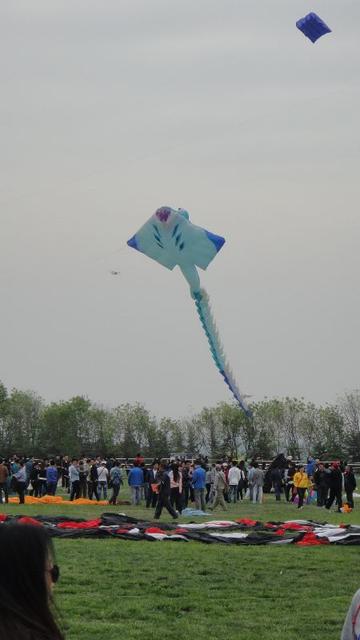 DSC02068