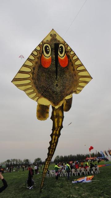 DSC02087