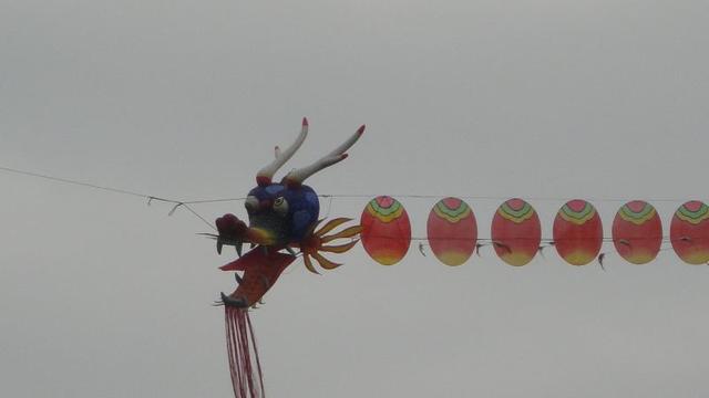 DSC02096