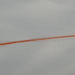 DSC02099