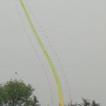 DSC02100