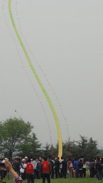 DSC02100