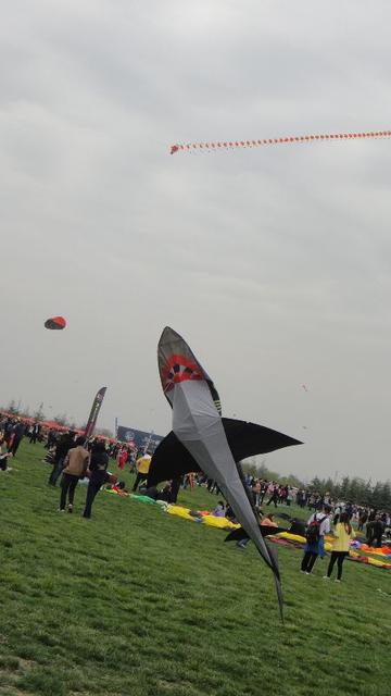 DSC02103